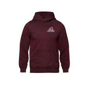 Delta Ringette Vintage Wash Hoodie - Embroidered Left Chest Logo - Adult