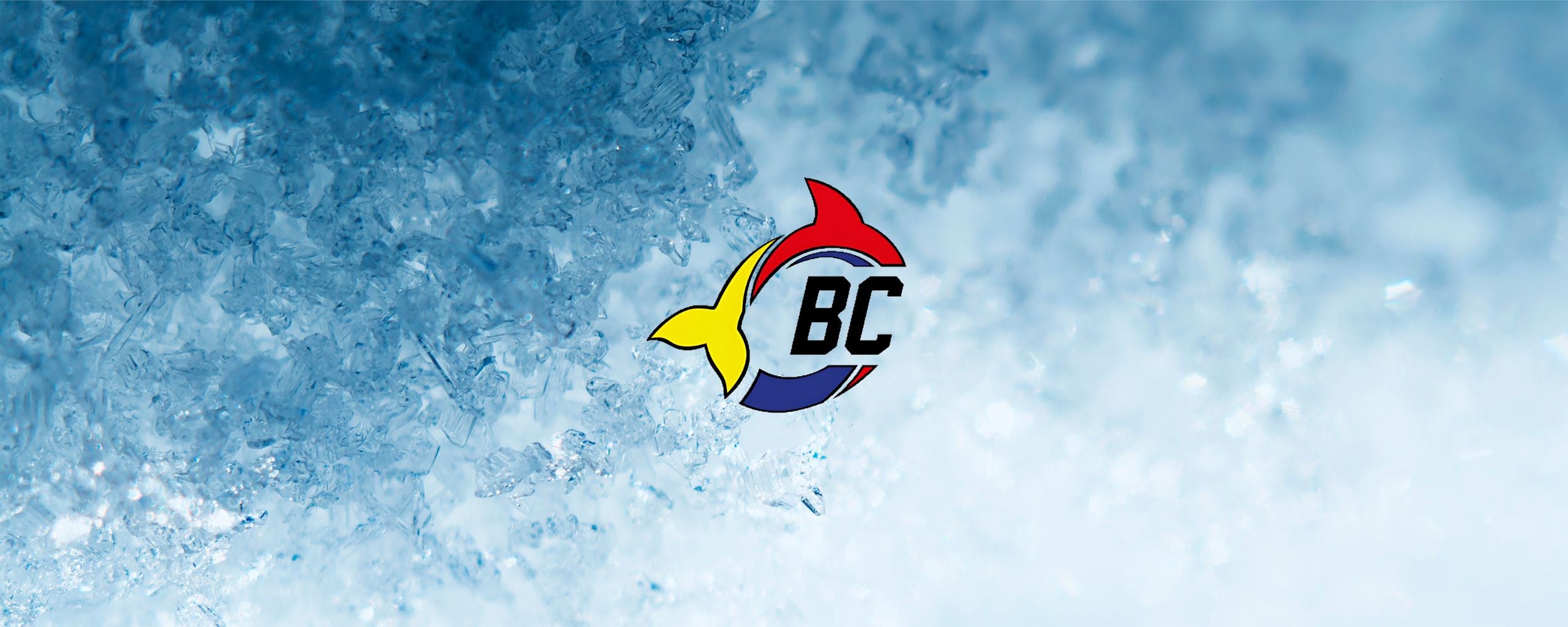 Ringette_Zone_4_1539449b-a199-4b9c-9e81-4eeb05f618fc.jpg