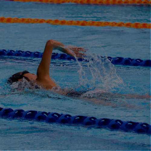Swim.jpg