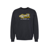 Hornets Hockey Print Front Word Logo Crewneck Sweatshirt - Youth