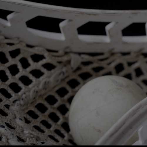 lacrosse.jpg