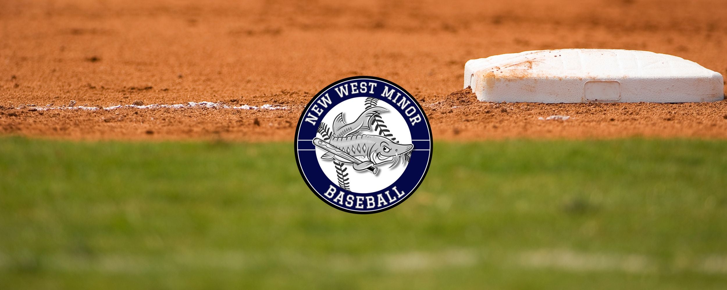 new_west_ball_1_2deed2e7-d554-43af-84e5-0ae10ba7a564.jpg
