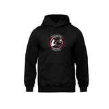 Ravens Vintage Wash Hoodie - Embroidered Logo  - Adult