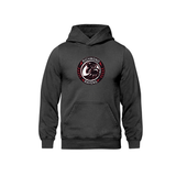 Ravens Vintage Wash Hoodie - Embroidered Association Logo  - Adult