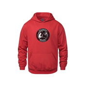 Ravens CSW Hoodie - Applique Embroidered Association Logo - Youth