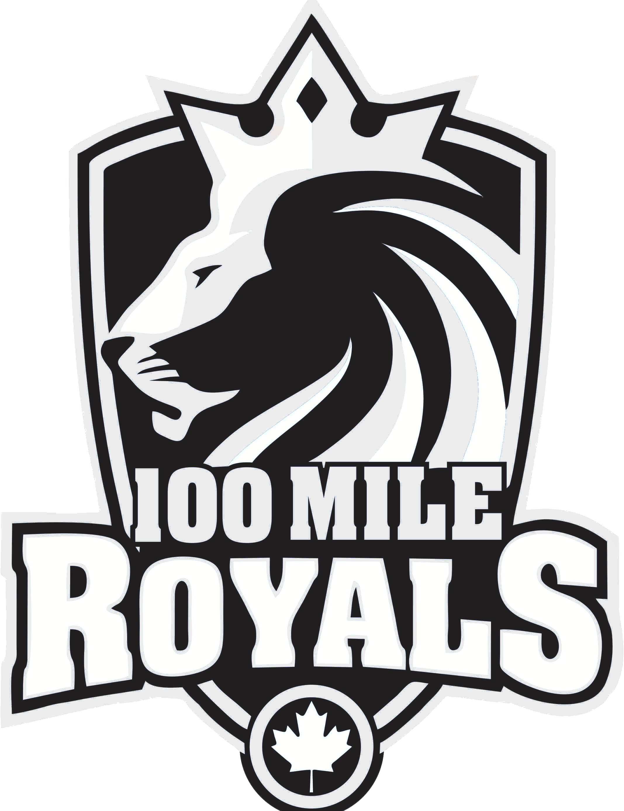 royalsblackwhitesilver_50a3dbe5-c93d-4c48-bd56-2a66e62539b8.png