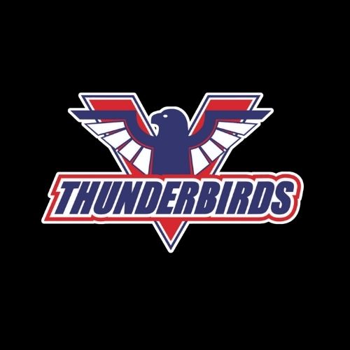 tbirds.jpg