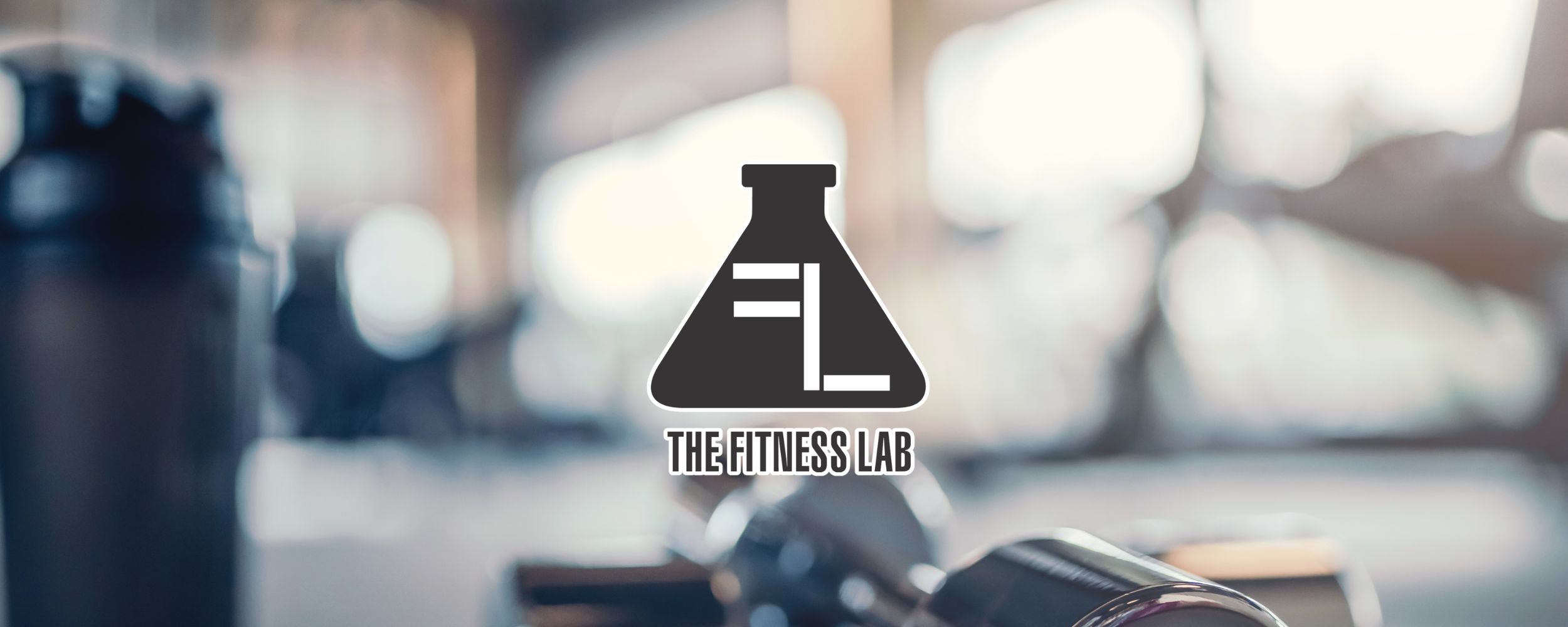 the_fitness_lab.jpg