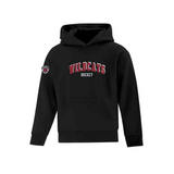 Wildcats Felt Applique Logo Hoodie - Youth
