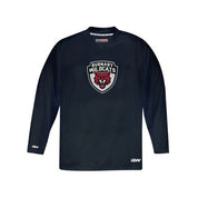 Wildcats GAMEWEAR GW5500 Practice Jersey - Youth