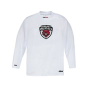 Wildcats GAMEWEAR GW5500 Practice Jersey - Youth