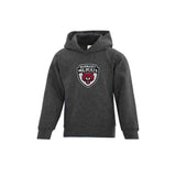 Wildcats Embroidered Logo Hoodie - Youth