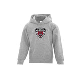 Wildcats Embroidered Logo Hoodie - Youth