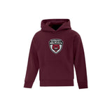 Wildcats Embroidered Logo Hoodie - Youth